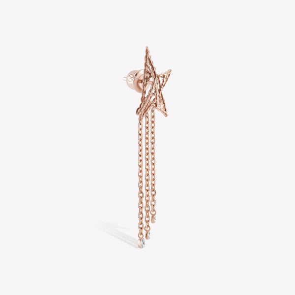 Rising Star Dangling Earring