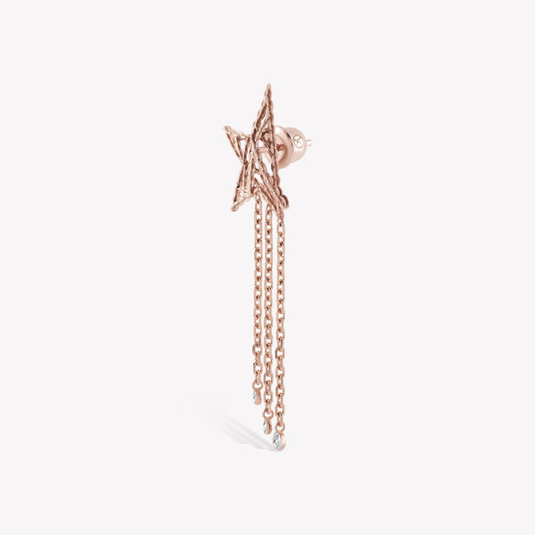 Rising Star Dangling Earring