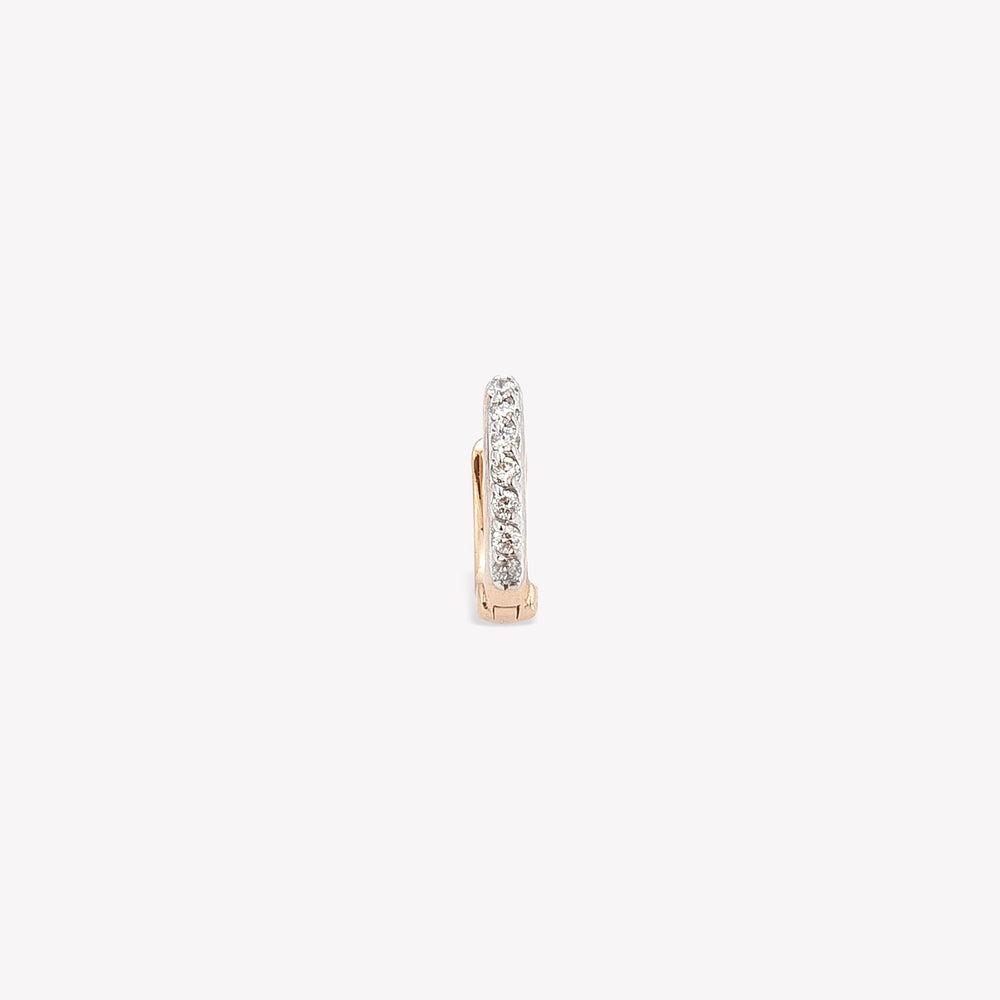 The Classic Hoop Earring
