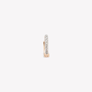 The Classic Hoop Earring