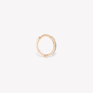 The Classic Hoop Earring