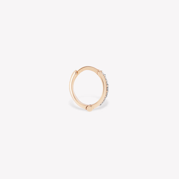 The Classic Hoop Earring