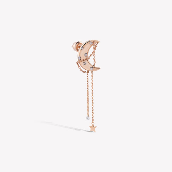 Fancy Dreamy Dangling Earring