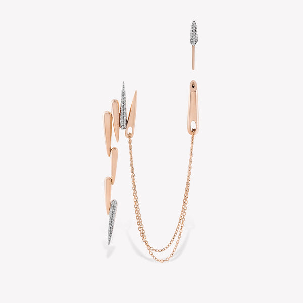 Latchy Dangling Earring