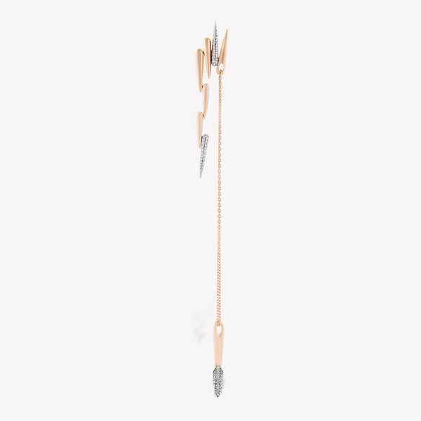 Latchy Dangling Earring