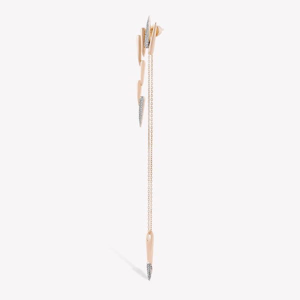Latchy Dangling Earring