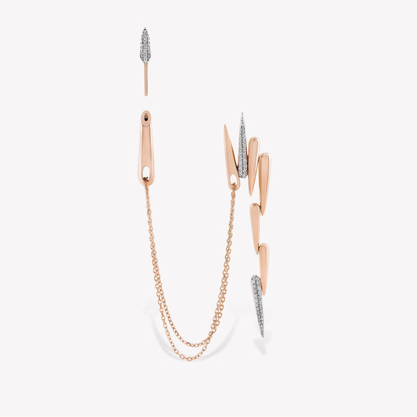 Latchy Dangling Earring