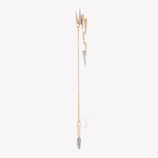 Latchy Dangling Earring