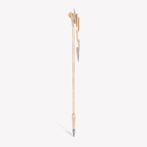 Latchy Dangling Earring