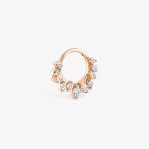 Acacia Hoop Piercing