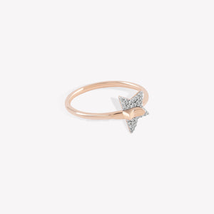 Interstar Ring