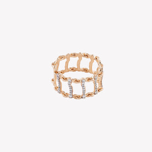Caspian Ring