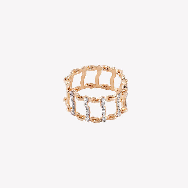 Caspian Ring
